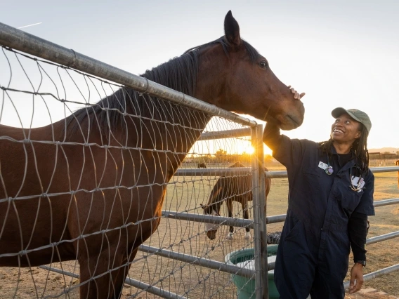 A person wearing blue coveralls and a grey hat pats a brown horse on the nose.