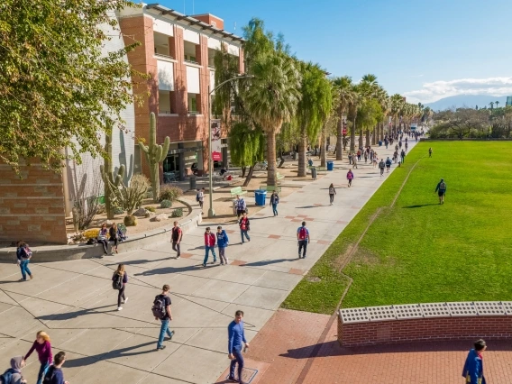 University of Arizona Mall