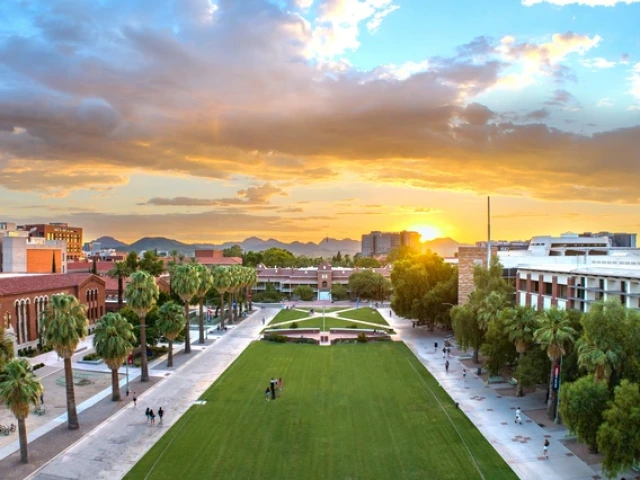 University of Arizona Mall at sunset