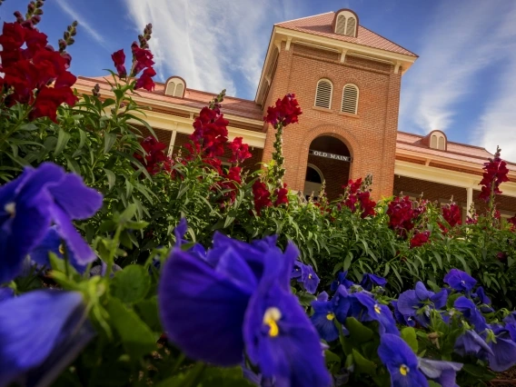 the facade of old main rising above a bed of blossoming flowers