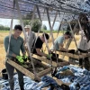 A group of people work under a shade canopy in a wheat field, sifting soil and plant material through large wooden screens suspended on frames. They wear casual outdoor clothing and gloves, with buckets and tools scattered around on blue tarps.